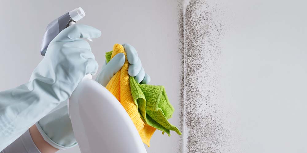 The Cleaning Process- A Closer Look