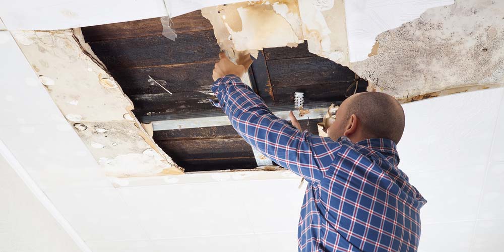 The Restoration Process
