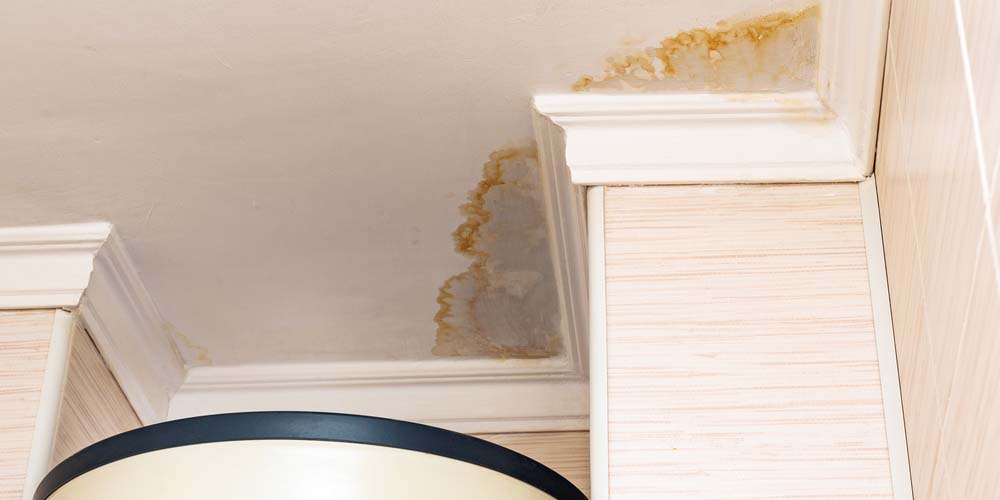 The Role of Prevention and Maintenance