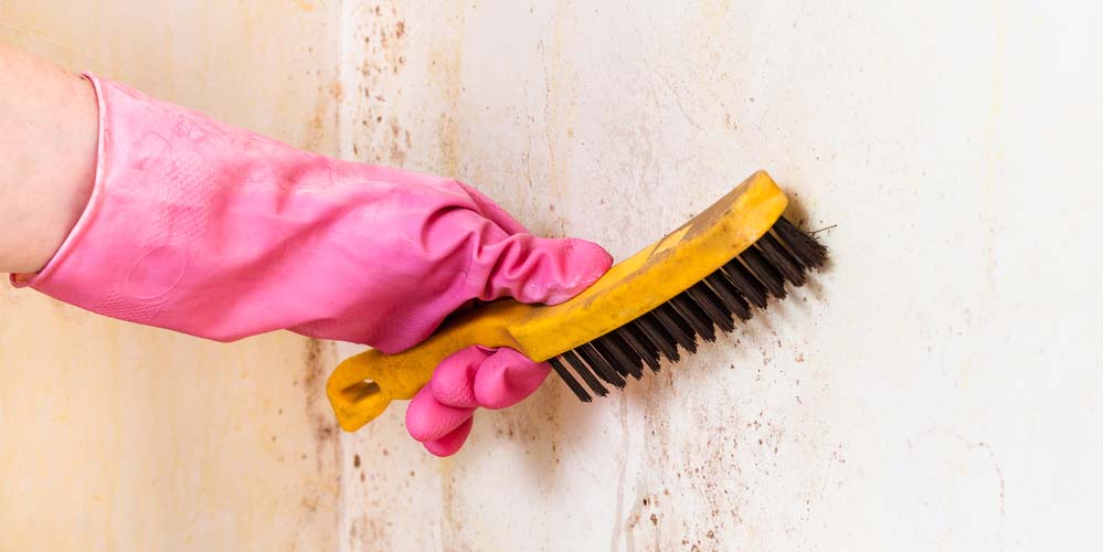 The Spectrum of Cleaning Services