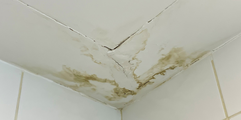 Understanding Damage Restoration Services