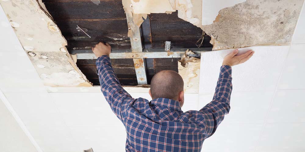 What About Water Damage Restoration?