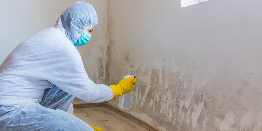 Why Opt for Professional Cleaning Services?