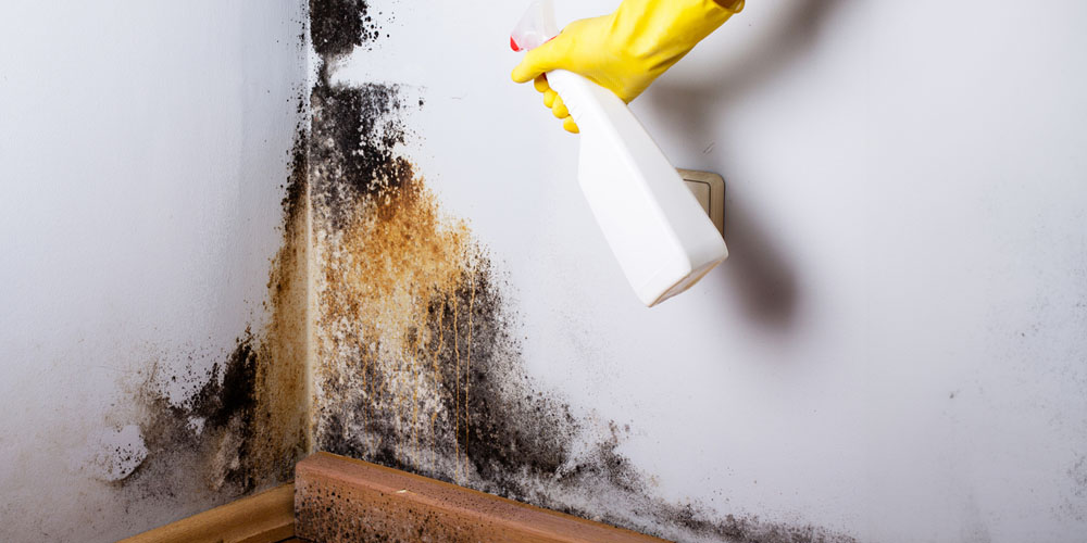 Water Mitigation - Cleaning Services
