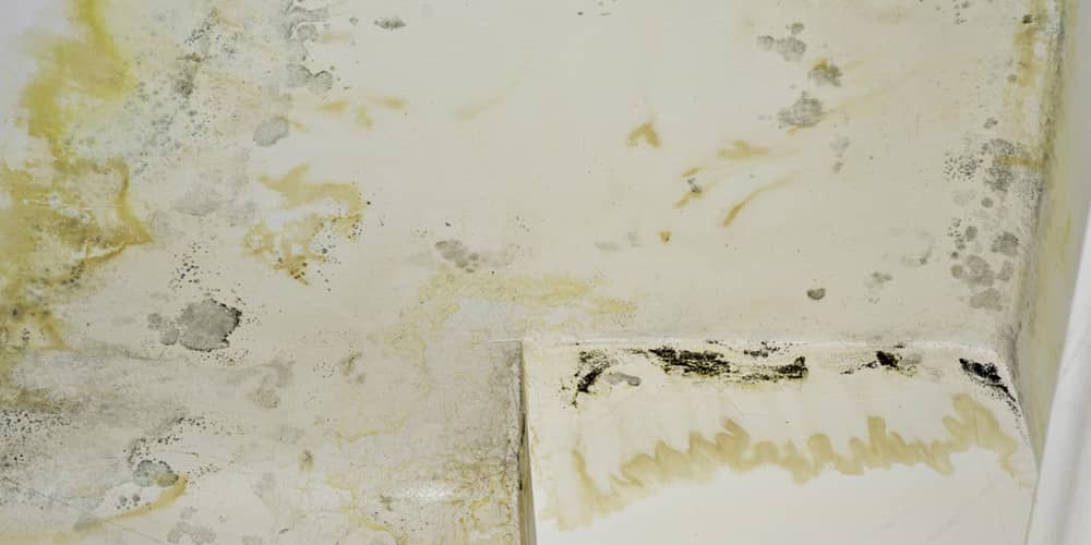 How Our Water Mitigation Expertise Ensures Seamless Restoration2