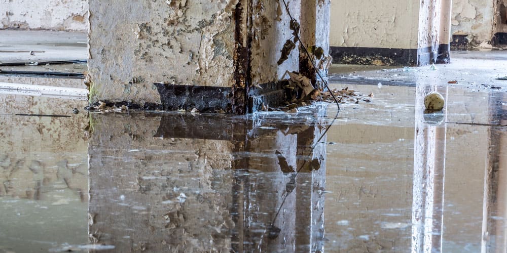 Integrating Water Mitigation With Cleaning Services A Comprehensive Approach For Property Restoration3