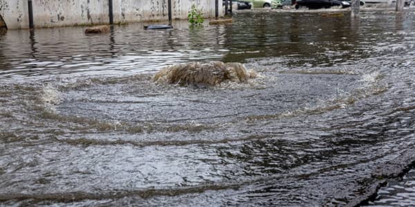 Expert Sewage Cleanup Strategies by Water Mitigation Experts: Safeguarding Health and Properties