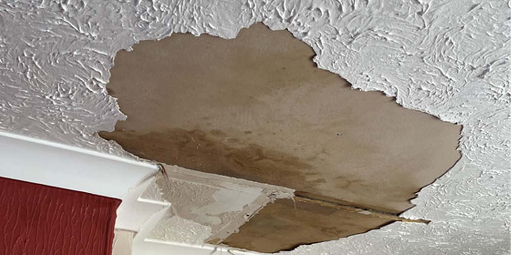 5. Address Water Damage-