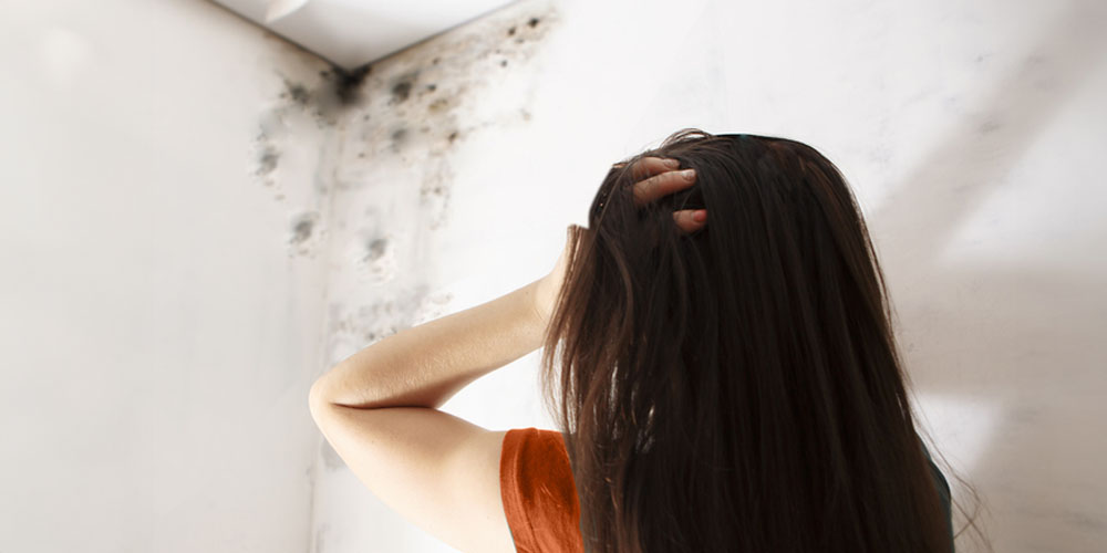 Choosing the Right Restoration Service