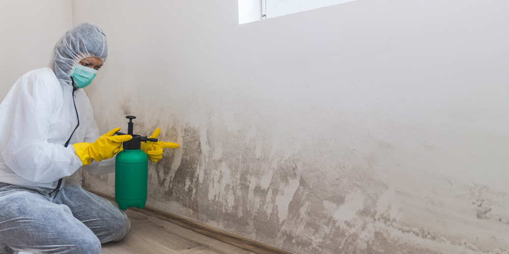 Prevention- Keeping Mold at Bay