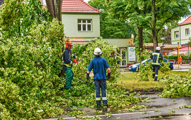 Storm Damage Experts