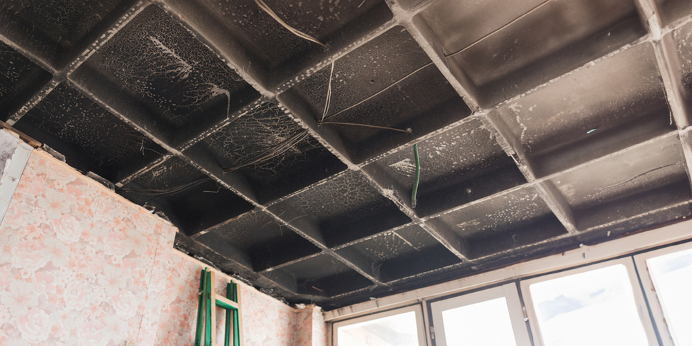 The Restoration Process- Step-by-Step
