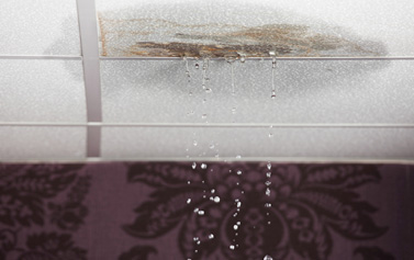 Water Damage Remediation