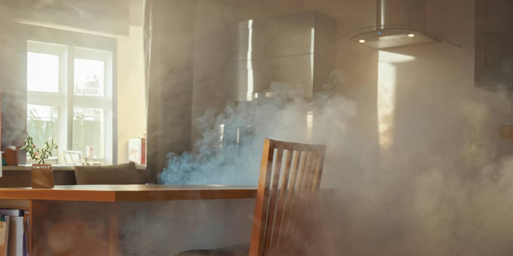 Health Risks And Restoration Solutions7