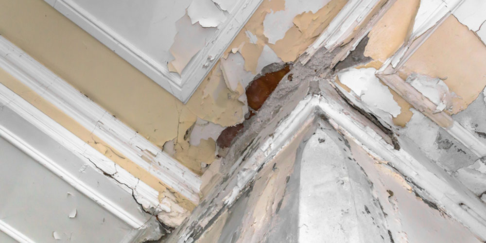 Long-Term Defense Against Water Damage