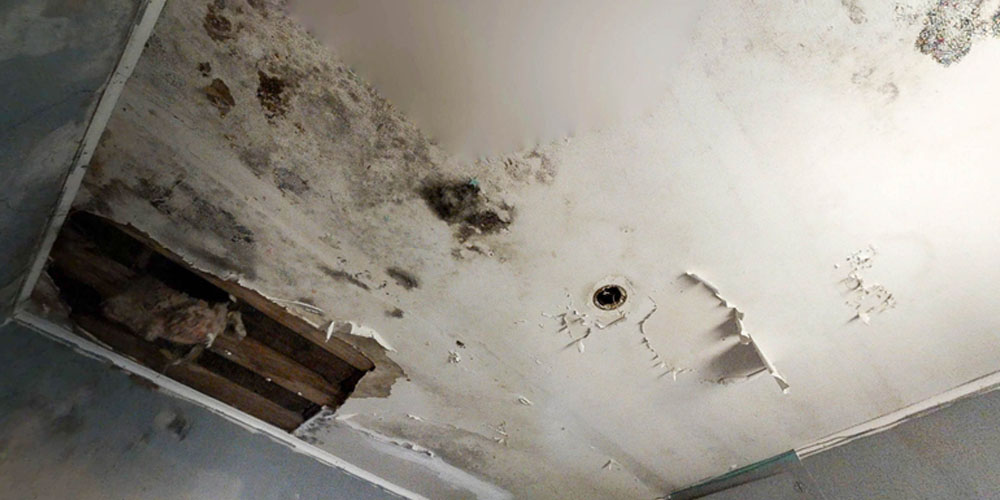 Seasonal Water Damage Prevention Checklist