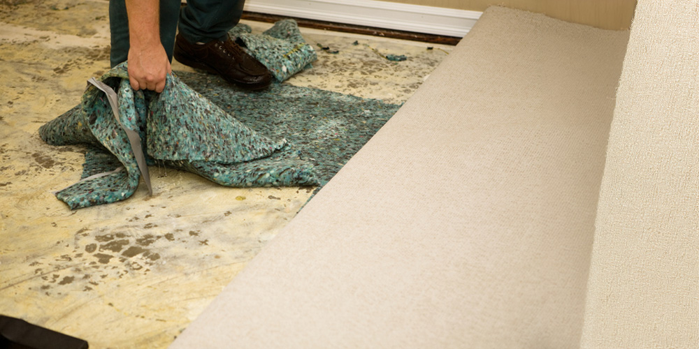 What are the Impacts of Water Damage?