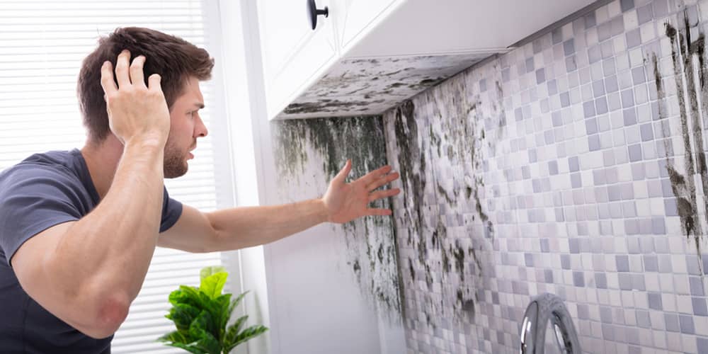 Innovative Mold Remediation Techniques For A Healthy Home2