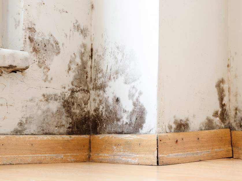 5 Signs Of Hidden Water Damage
