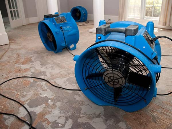 Why A Structural Dryout Is Important