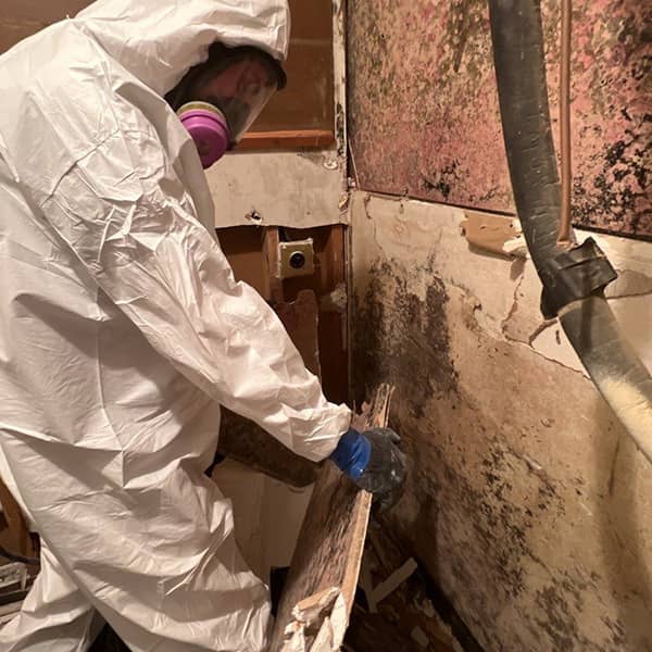 Residential Mold Damage Restoration